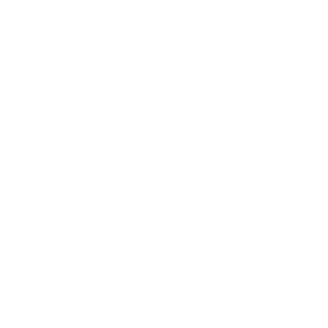 Everglow Wellness White Transparent Logo